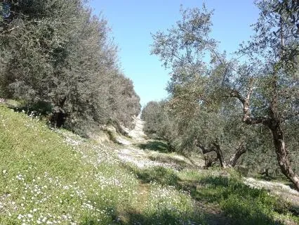 Wendy Talks Rumination