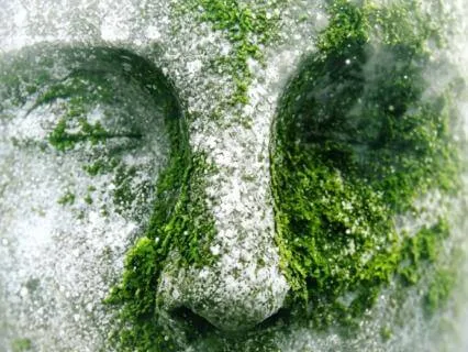 Were Deities Created To Help Us Navigate Emotion?