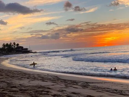 Wet Dreams Of The Pacific