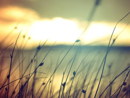 What A Beautiful Name, The Name Of Jesus