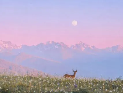 What A Day To Be Alive