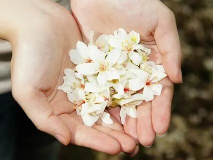 What Am I 'Really' Offering Myself And Others?