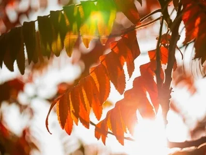 What An App Error Taught Me About My Self-Worth