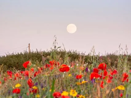 What Anger Is Trying To Tell You — Listening Inward