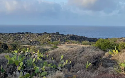 What Are Dreams And Can They Guide Our Lives Or Change Them?