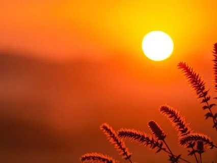 What Are Light Codes?