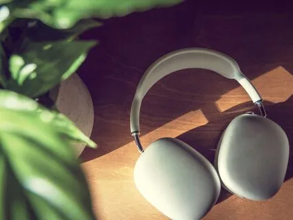 What Are Seed Oils? Why All The Buzz?