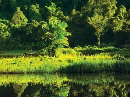 What Are You Grateful For?