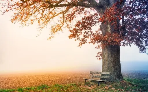 What Are You Holding Onto?