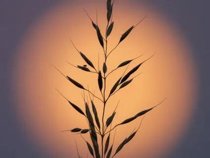 What Are You Most Afraid Of?