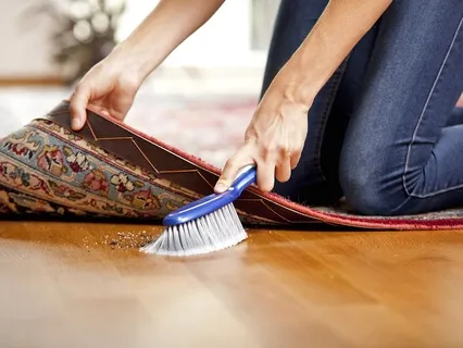 What Are You Sweeping Under the Carpet? Talk + Meditation