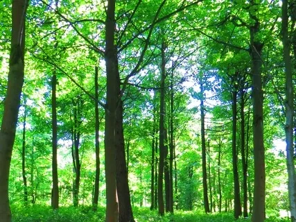 What Are You Waiting For?