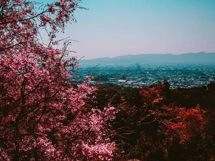 What Blooms From This