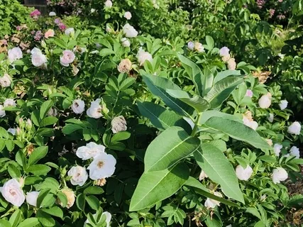 What Brings The Most Good