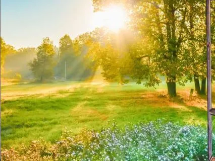 What Can I Bring To This Day - A Morning Meditation