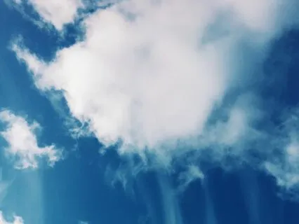 What Do Dogs Dream About? Bedtime Story