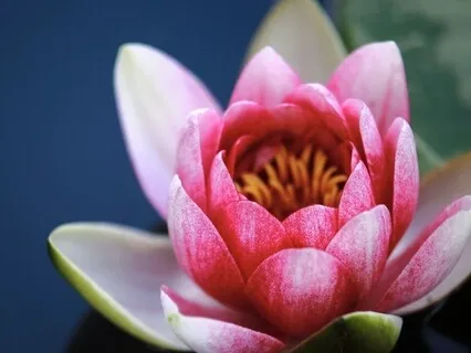 What Do Narcissistic Mothers Do And How Can I Cope?