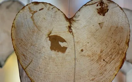 What Do Wisdom & Compassion Look Like Right Now?