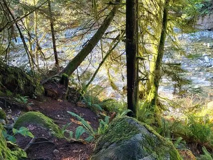 What Do You Hear When Others Speak?