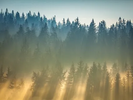 What Do You Mean, "Pretty Spiritual?"