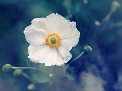 What Does A White Aura Mean?