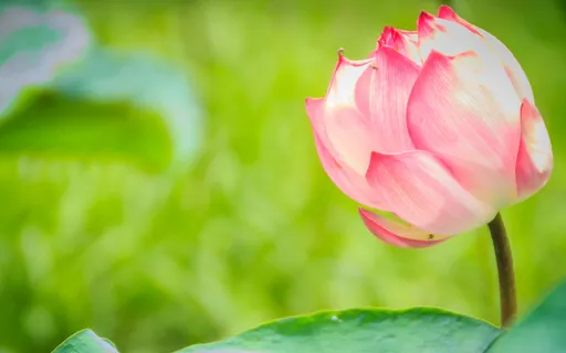 What Does It Mean To Be Mindful? - A 5 Minutes Guide