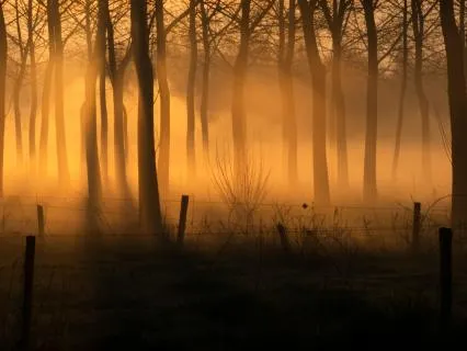 What Does It Mean To Be Spiritual?