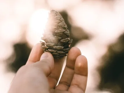 What Does It Mean To "Have Center"?