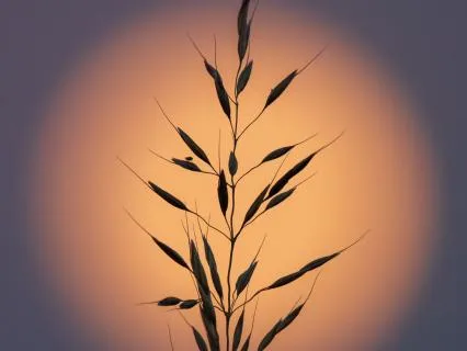 What Does It Mean To Unleash The Unexpressed Self?