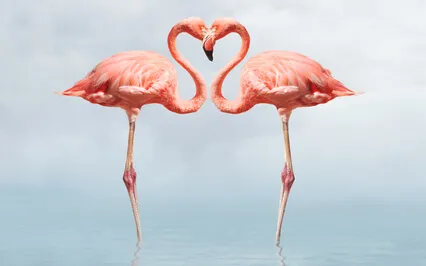 What Does "Soulmate" Truly Mean