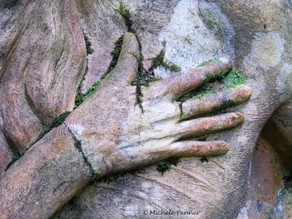 What Does The Heart Know?