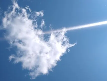 What Does Love Have To Say?