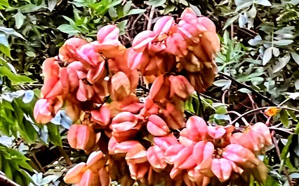 What Every Empath Should Know