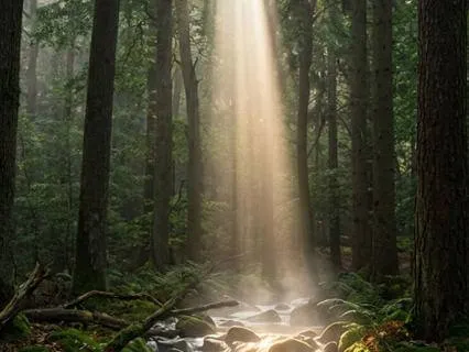 What Flows Into You Becomes You: Transforming Your Infusion