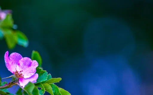 What Good Is here That I Presently Cannot See?