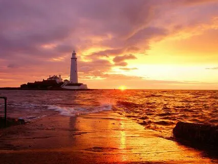 What Guides Our Decisions, Impulse Or Intuition?