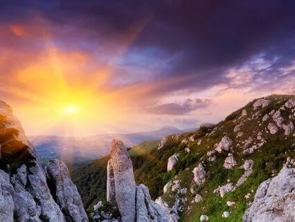 What Happened When I Followed My Heart