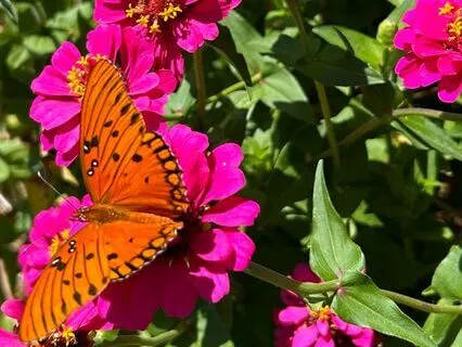 Simple Steps To Happiness