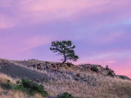 What I Learned After Losing Everything