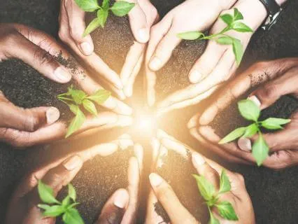 What I Sow Is What I Reap Mantra Meditation