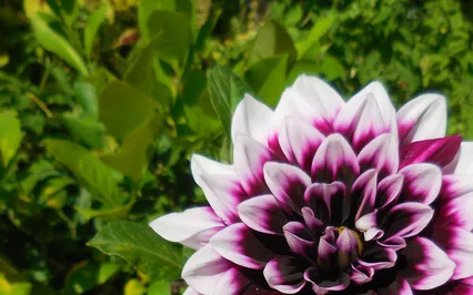 What I Wish I Knew When I Was Younger 