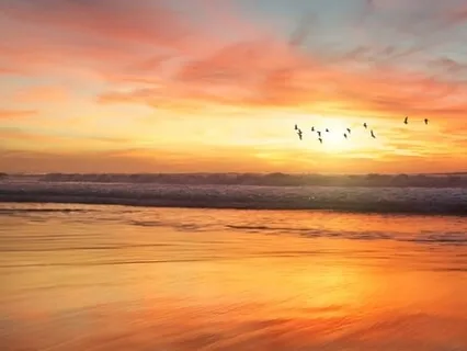 What If ... I Am Already Free? 