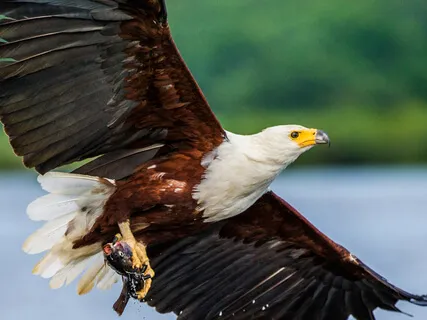 What If ... Next Year Was Amazing?