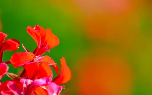 What If.. It Was Possible?