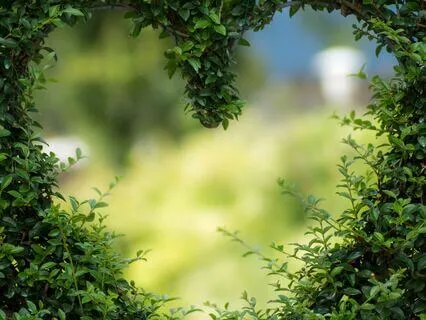 What If I Make The Wrong Decision?