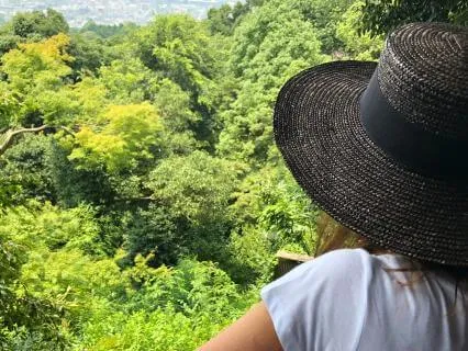 What If I See The Beauty In Life? A Havening Practice