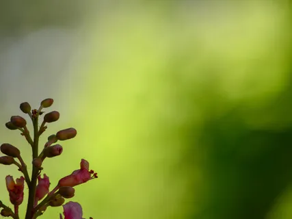 What If I Was Stuck Here Forever?