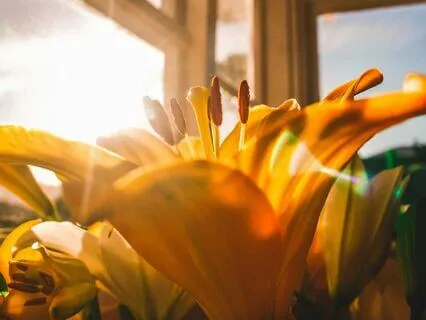 What If It's Already Done?