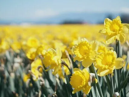 What If It's Safe To See The Beauty In Me? Havening Practice