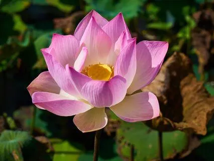 What If 'Namaste' Was A Practice To Live By?